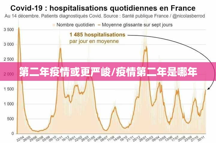 第二年疫情或更严峻/疫情第二年是哪年
