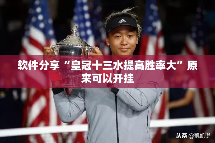 软件分享“皇冠十三水提高胜率大”原来可以开挂