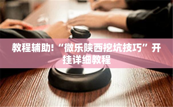 教程辅助!“微乐陕西挖坑技巧”开挂详细教程