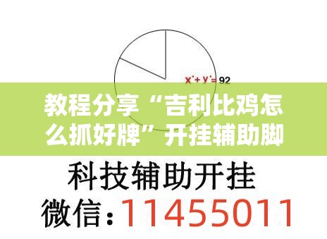 教程分享“吉利比鸡怎么抓好牌”开挂辅助脚本+详细开挂安装教程