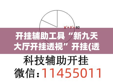 开挂辅助工具“新九天大厅开挂透视”开挂(透视)最新辅助详细