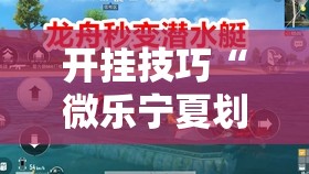 开挂技巧“微乐宁夏划水怎么开挂	”其实确实有挂