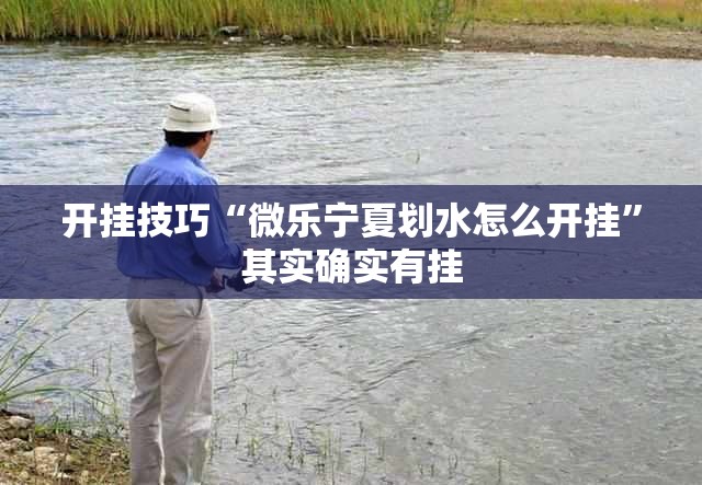 开挂技巧“微乐宁夏划水怎么开挂”其实确实有挂