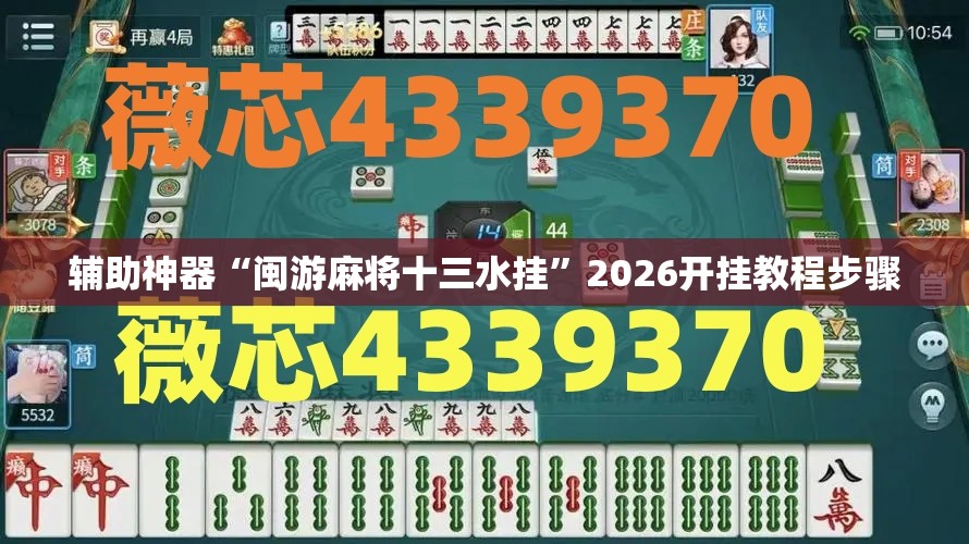 辅助神器“闽游麻将十三水挂”2026开挂教程步骤