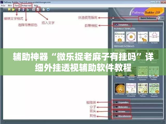 辅助神器“微乐捉老麻子有挂吗	”详细外挂透视辅助软件教程