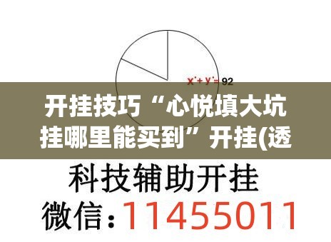 开挂技巧“心悦填大坑挂哪里能买到”开挂(透视)辅助神器