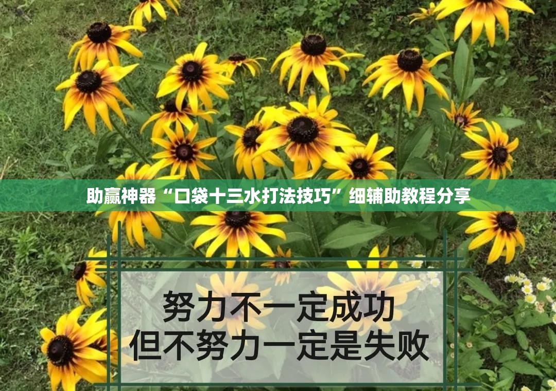 助赢神器“口袋十三水打法技巧”细辅助教程分享