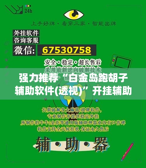 强力推荐“白金岛跑胡子辅助软件(透视)”开挂辅助脚本+详细开挂安装教程