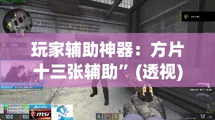 玩家辅助神器：方片十三张辅助	”(透视)其实确实有挂