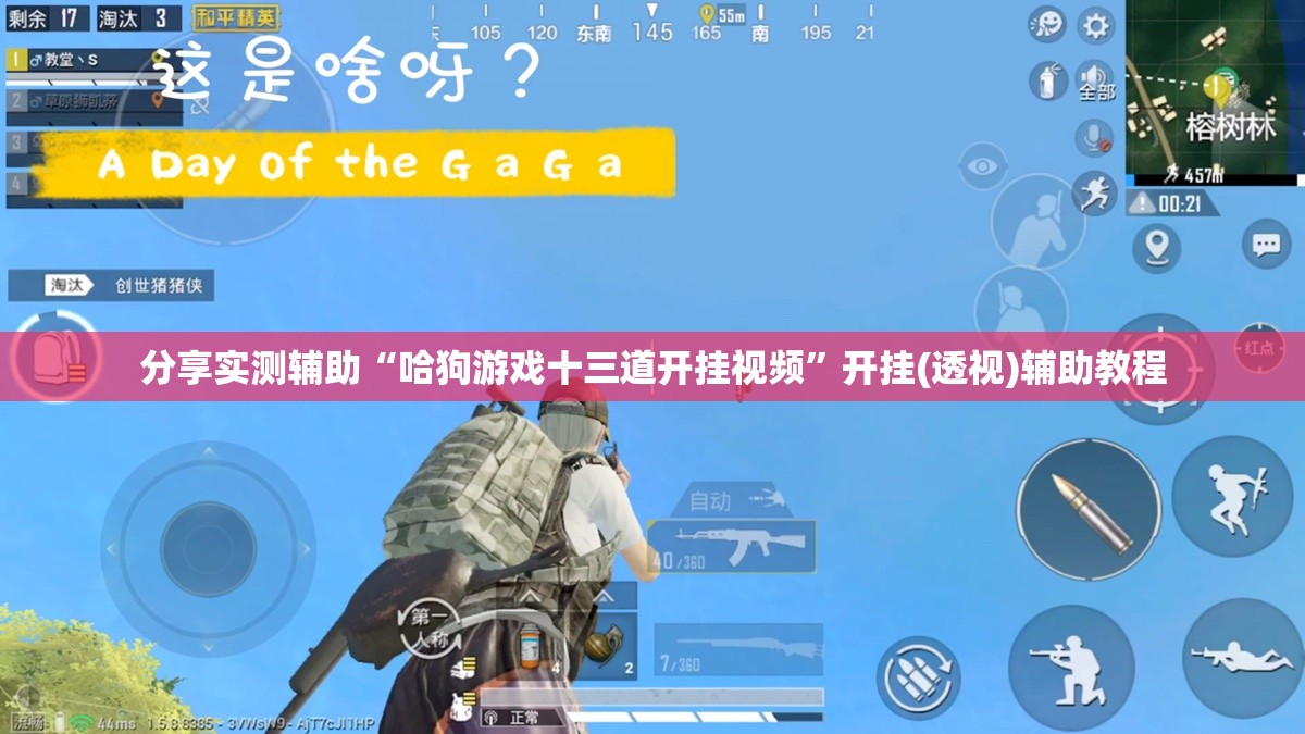 分享实测辅助“哈狗游戏十三道开挂视频”开挂(透视)辅助教程
