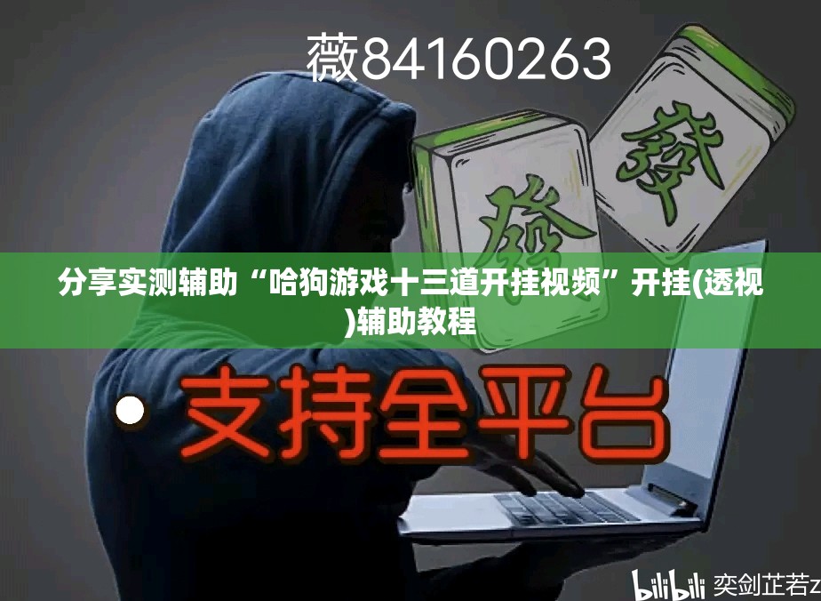 分享实测辅助“哈狗游戏十三道开挂视频	”开挂(透视)辅助教程