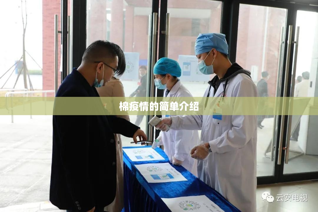 棉疫情的简单介绍
