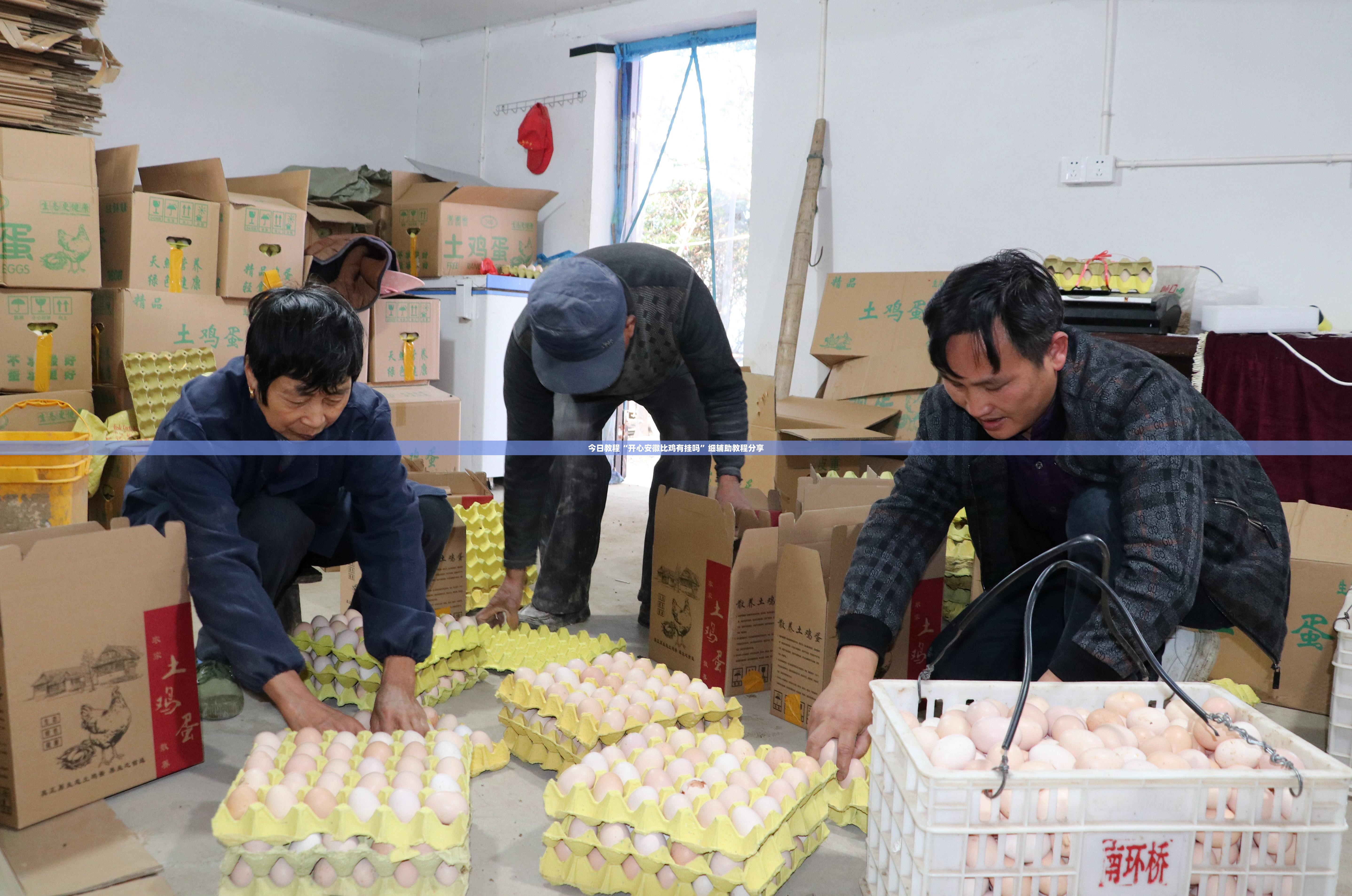 今日教程“开心安徽比鸡有挂吗”细辅助教程分享
