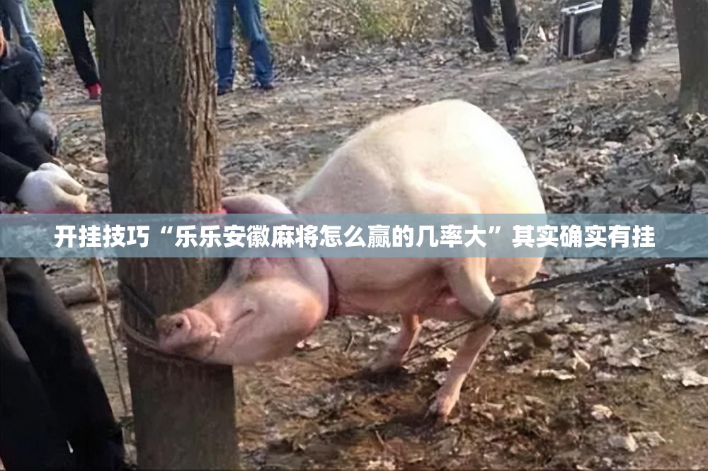 开挂技巧“乐乐安徽麻将怎么赢的几率大”其实确实有挂