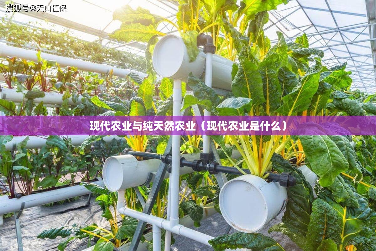 现代农业与纯天然农业（现代农业是什么）