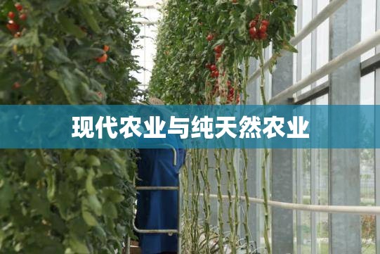 现代农业与纯天然农业（现代农业是什么）