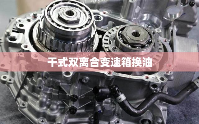 【干式双离合变速箱换油/干式双离合变速箱换油原则】