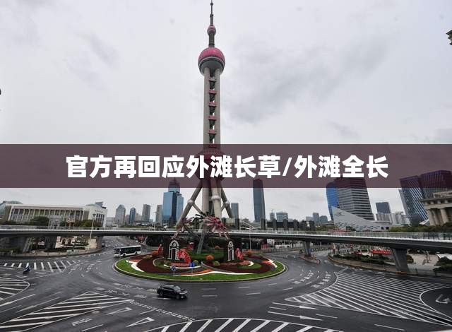 官方再回应外滩长草/外滩全长