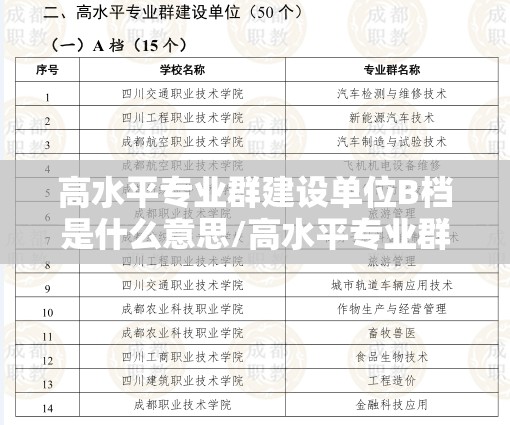 高水平专业群建设单位B档是什么意思/高水平专业群建设单位a档b档什么意思