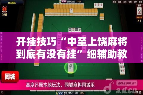 开挂技巧“中至上饶麻将到底有没有挂”细辅助教程分享