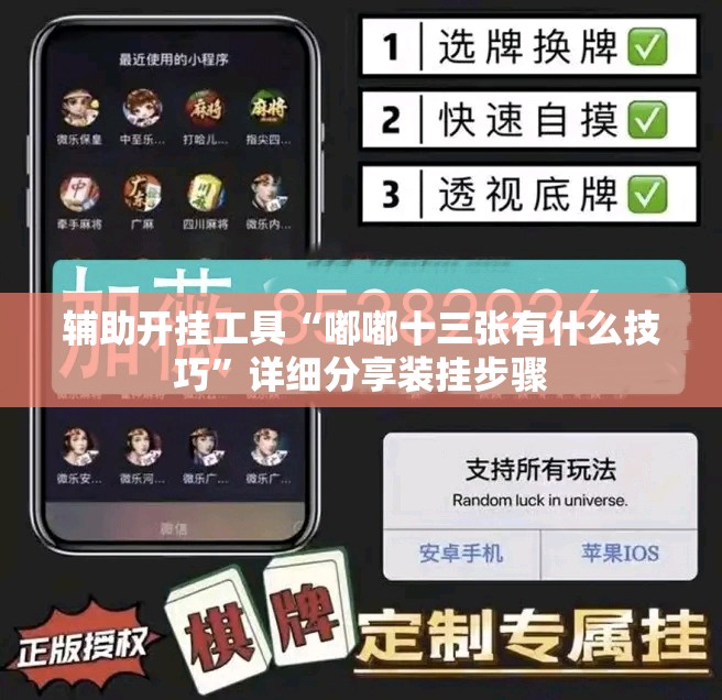 辅助开挂工具“嘟嘟十三张有什么技巧	”详细分享装挂步骤