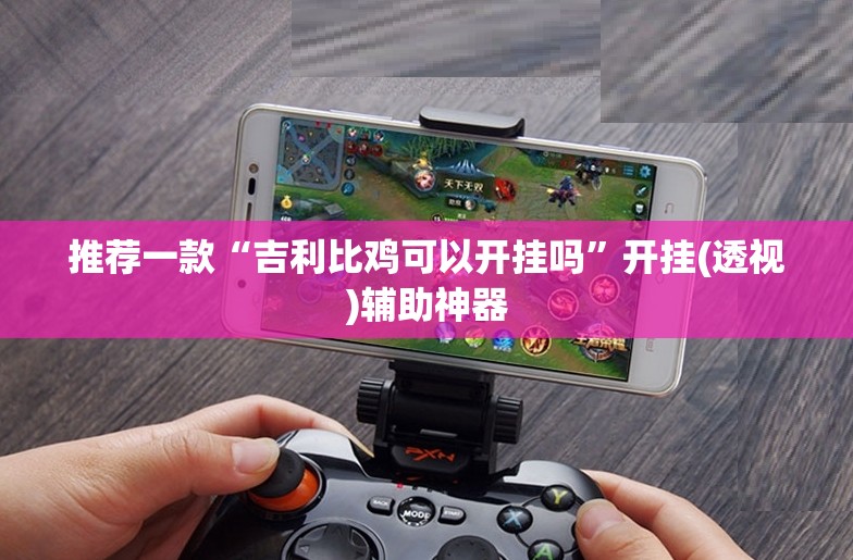 推荐一款“吉利比鸡可以开挂吗	”开挂(透视)辅助神器