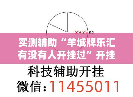 实测辅助“羊城牌乐汇有没有人开挂过”开挂(透视)辅助教程