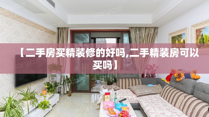 【二手房买精装修的好吗,二手精装房可以买吗】