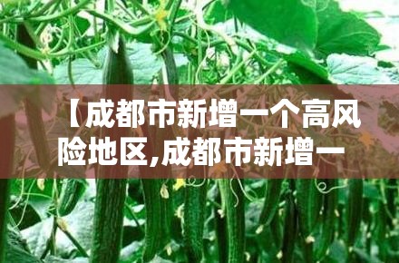 【成都市新增一个高风险地区,成都市新增一个高风险地区多少个】