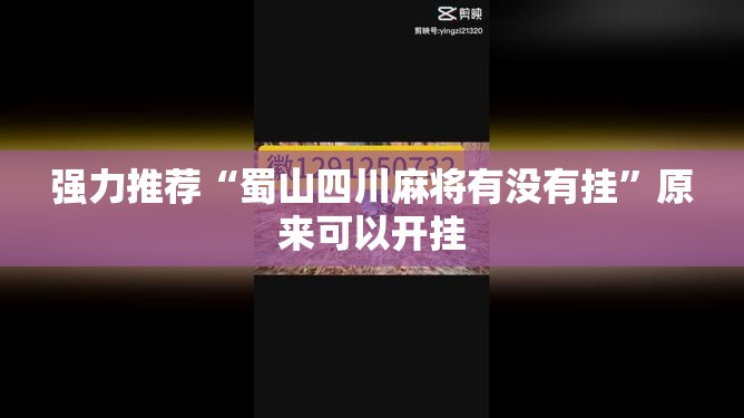 强力推荐“蜀山四川麻将有没有挂”原来可以开挂