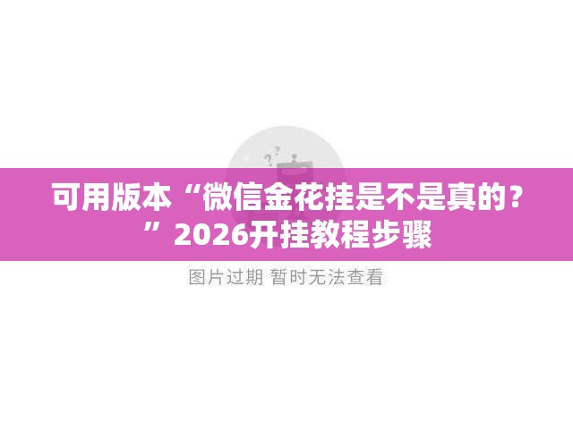 可用版本“微信金花挂是不是真的？”2026开挂教程步骤