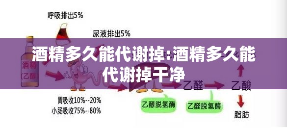 酒精多久能代谢掉:酒精多久能代谢掉干净