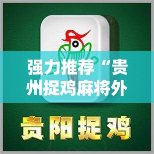 强力推荐“贵州捉鸡麻将外卦辅助软件下载”开挂详细教程