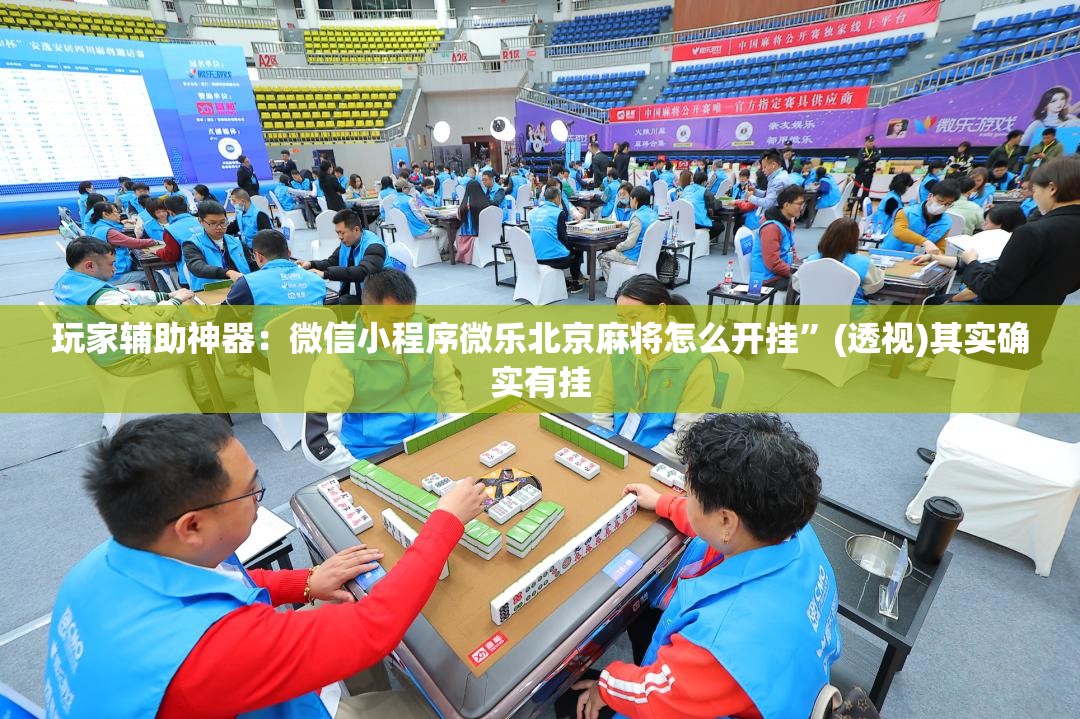 玩家辅助神器：微信小程序微乐北京麻将怎么开挂”(透视)其实确实有挂