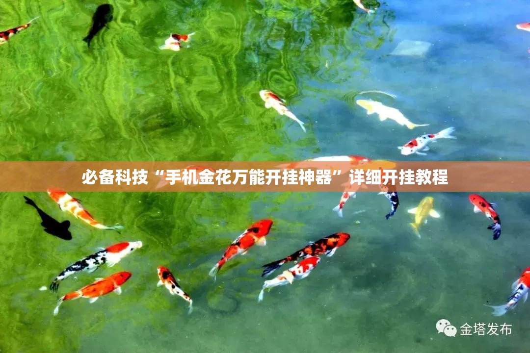 必备科技“手机金花万能开挂神器”详细开挂教程