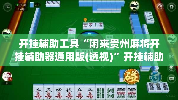 开挂辅助工具“闲来贵州麻将开挂辅助器通用版(透视)”开挂辅助脚本+详细开挂安装教程