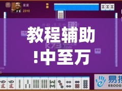 教程辅助!中至万年麻将有挂装不”(透视挂)辅助下载教程
