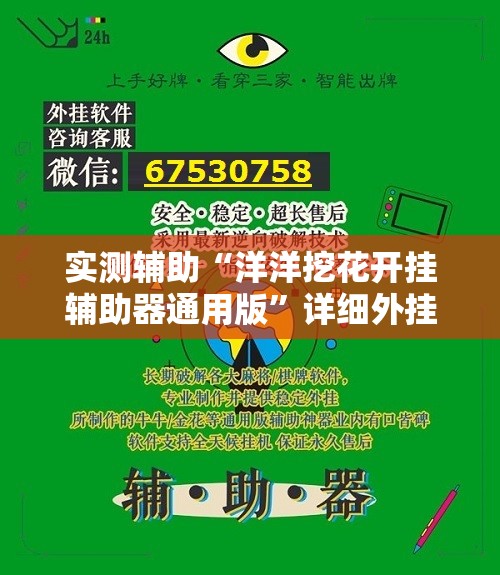 实测辅助“洋洋挖花开挂辅助器通用版	”详细外挂透视辅助软件教程