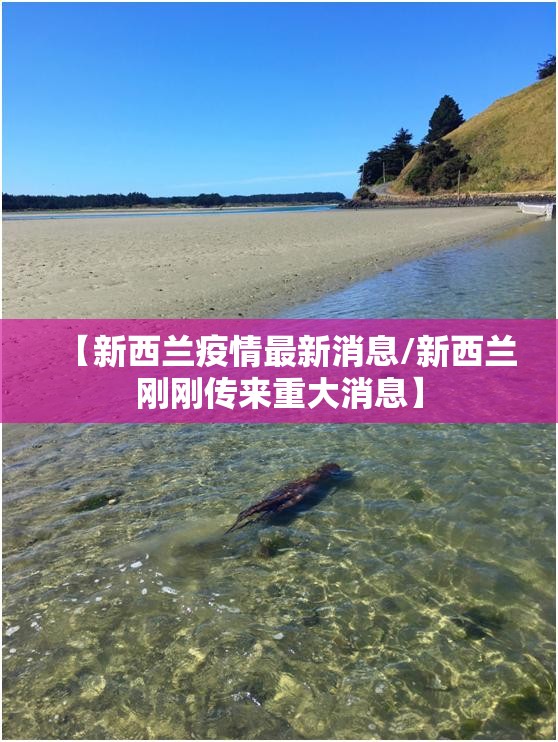 【新西兰疫情最新消息/新西兰刚刚传来重大消息】 【新西兰疫情最新消息/新西兰刚刚传来重大消息】