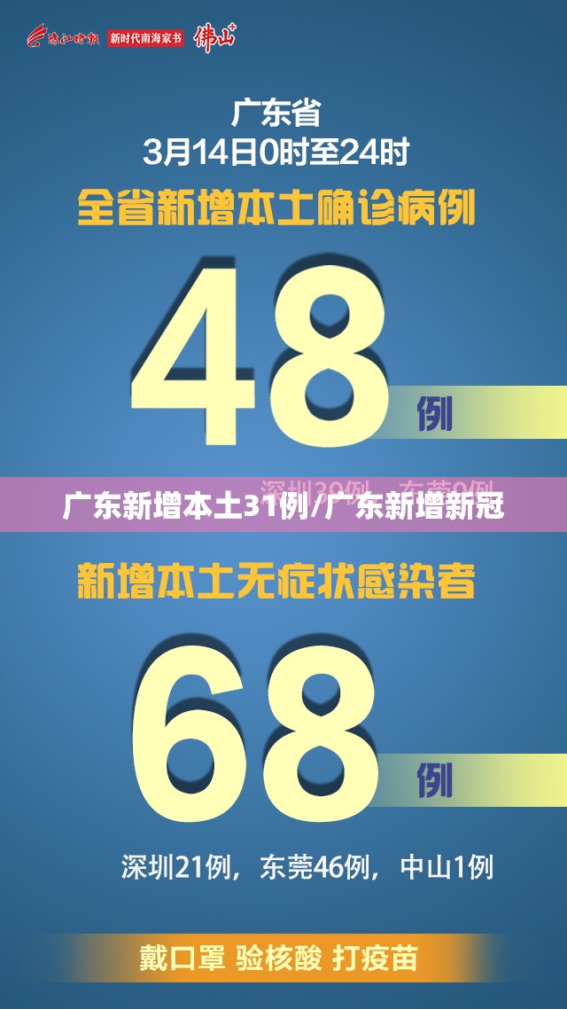 广东新增本土31例/广东新增新冠