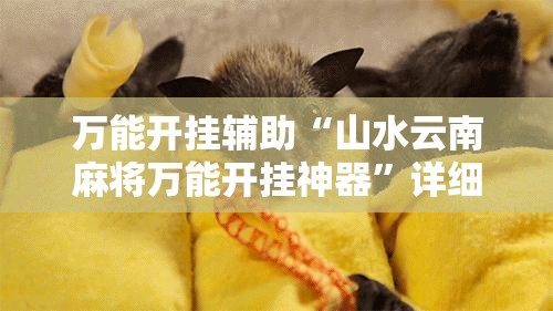 万能开挂辅助“山水云南麻将万能开挂神器”详细开挂教程