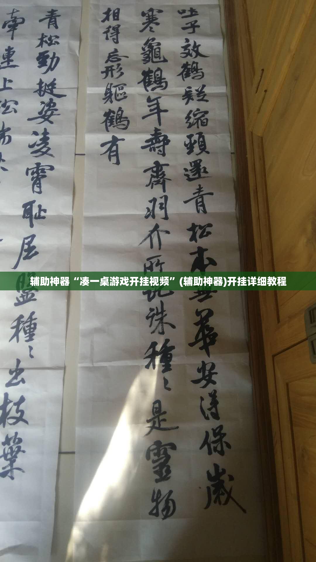 辅助神器“凑一桌游戏开挂视频	”(辅助神器)开挂详细教程