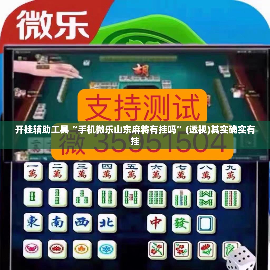 开挂辅助工具“手机微乐山东麻将有挂吗	”(透视)其实确实有挂