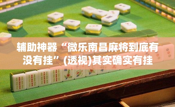 辅助神器“微乐南昌麻将到底有没有挂”(透视)其实确实有挂