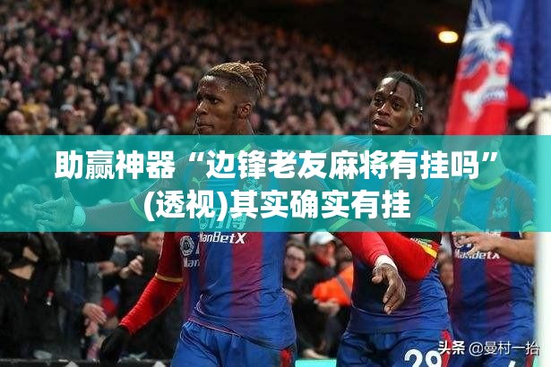 助赢神器“边锋老友麻将有挂吗”(透视)其实确实有挂