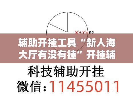辅助开挂工具“新人海大厅有没有挂”开挂辅助脚本+详细开挂安装教程