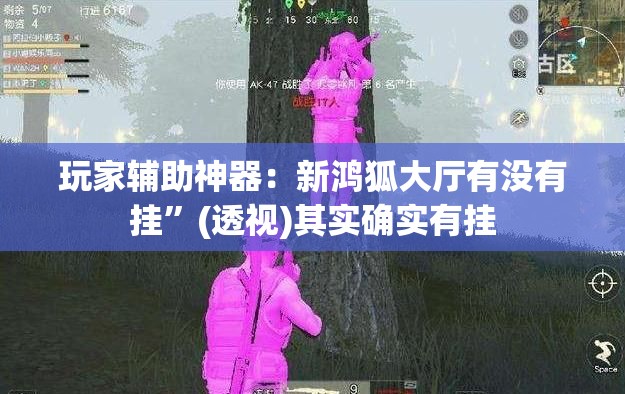 玩家辅助神器：新鸿狐大厅有没有挂	”(透视)其实确实有挂