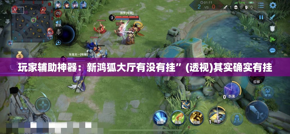 玩家辅助神器：新鸿狐大厅有没有挂”(透视)其实确实有挂