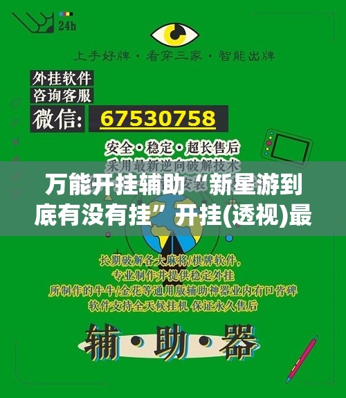 万能开挂辅助“新星游到底有没有挂”开挂(透视)最新辅助详细