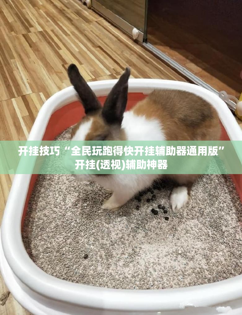 开挂技巧“全民玩跑得快开挂辅助器通用版”开挂(透视)辅助神器